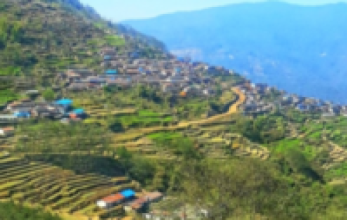 पर्यटकीय गाउँ ताङतिङमा वनभोजस्थल