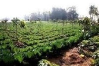 पाँच वर्षमा कृषिमा पूर्णतया आत्मनिर्भर’: मन्त्री भुसाल