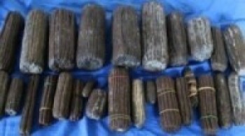 पच्चिस किलो चरेससहित महिला पक्राउ   