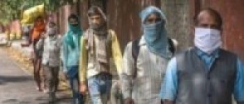 अलपत्र सात सय मजदूरलाई  पठाइयो घर