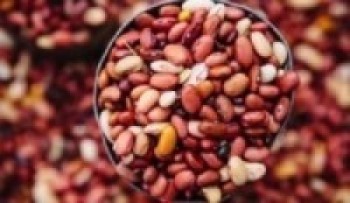 रुकुमपूर्वका सिमीले बजार नपाएपछि चामल साट्दै