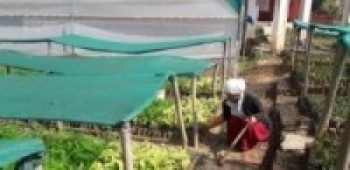 नर्सरीमा गोडमेलमा सकृय महिला