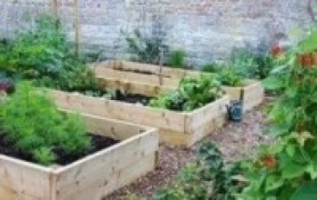 लकडाउनको साथी करेसाबारी