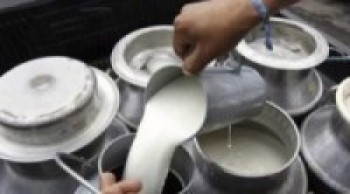लकडाउन अवधिमा रु दुई अर्ब दूध नोक्सान