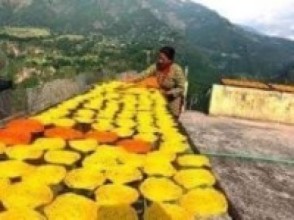 झिनियाँ बनाउँदै महिला