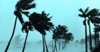 हुरी बतासले फलफूलको चिचिला झार्यो ! फलको लागि समस्या हुने