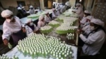 दैनिक १० हजार बोतल स्यानिटाइजर उत्पादन गर्दै औषधि विभाग