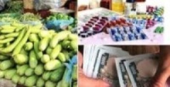 अब घरघरमै भत्ता, औषधि र तरकारी