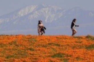 Virus Outbreak California Daily Life