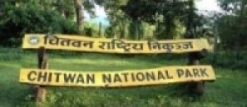 लकडाउनसंगै निकुञ्ज सुरक्षामा चुनौती