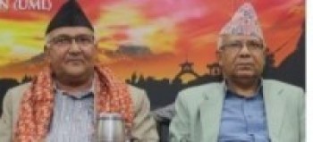 प्रधानमन्त्री ओली र वरिष्ठ नेता नेपालबीच भेटवार्ता