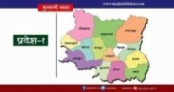 प्रदेश नं १ मा ३१ सङ्क्रमित