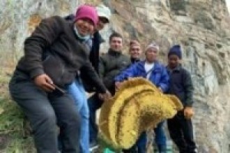 पहराबाट निकालिएको:भीर मह