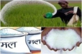 नवलपरासी : रासायनिक मल अभाव