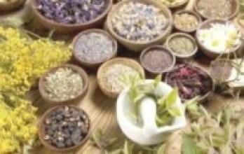 जडिबुटीे सङ्कलन केन्द्रमै अलपत्र