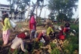 आयुर्वेदिक स्वास्थ्य परिसरमा काम गर्दै कामदार