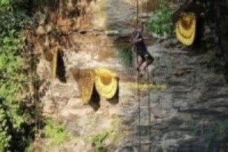 भीर माहुरीले टोक्दा घाइते