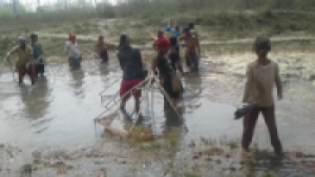 माछा मार्ने क्रममा करेन्ट लागेर कैलालीमा एक जनाको मृत्यु