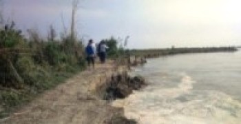 कटानले सीमास्तम्भ नदीमा   