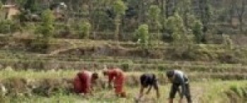 शहरमा लकडाउन, गाउँमा धमाधम मेलापात