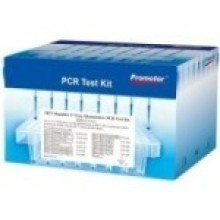 कोरोना सङ्क्रमित दुई घर फिर्ता, बस्तीका १३ को स्वाब सङ्कलन