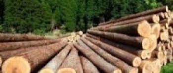 नेपाल वन पैदावार उद्योग व्यवसायी महासङ्घको ध्यानाकर्षण