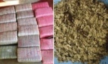 दुई क्विन्टल लागुऔषध गाँजा बरामद