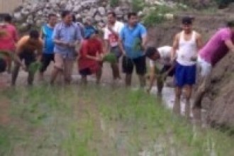 बाँझो बगर कोतर्दै तन्नेरी