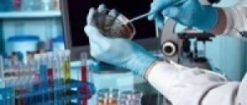 कोरोना भाइरसको औषधिको परीक्षण प्रक्रिया शुरु