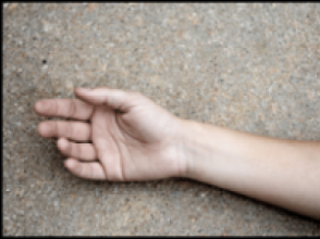 खोलामा खसेका युवकको शव फेला