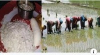 आलेखःअसार १५ को पहिचान : दही र चिउरा