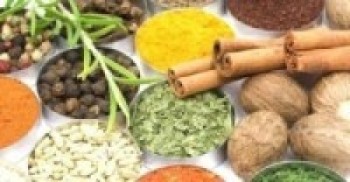 आठ लाखको आयुर्वेदिक औषधि सरकारलाई हस्तान्तरण