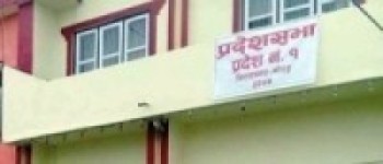 प्रदेश नं १ को बजेट सार्वजनिक   