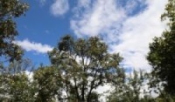 स्वचालित मौसम केन्द्र स्थापना   