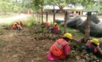 प्रधानमन्त्री रोजगार : पैदलमार्ग निर्माणमा रोजगारी