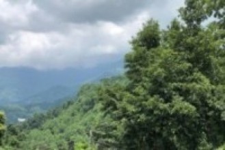 सामुदायिक वन समावेशी संरचनाको नमूना