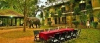   सौराहाका होटल दुई सातामै बन्द  