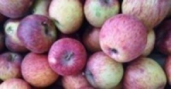 काँचो स्याउ बजारमा