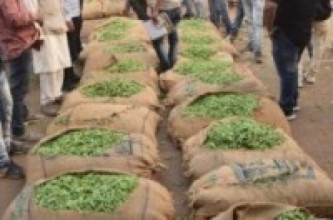 ४२५ किलोग्राम मटर बरामद