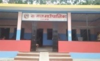 कमल गाउँपालिका थप ३ जना कोरोना पुष्टि