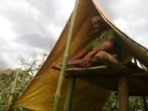 बाली जोगाउन रातभर जाग्राम