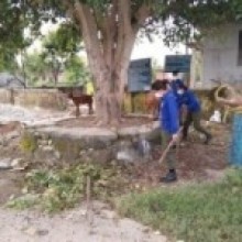 सडकमा बाँधिएका पशु हटाउँदै नगर प्रहरी