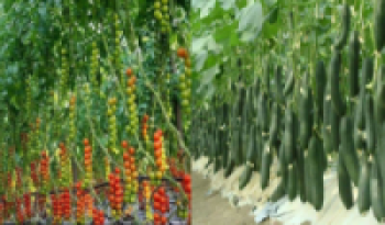 विषादी प्रयोगबारे सचेत बन्दै किसान