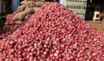 स्थानीय प्रशासनले तोक्यो प्याजको बिक्री मूल्य