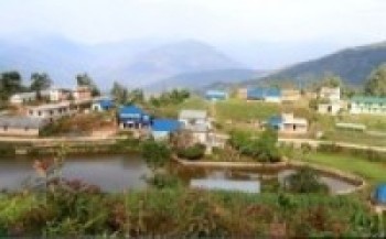 पौवादुङमा विद्युत् विस्तार प्रक्रिया शुरु