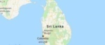 Sri Lanka bans contaminated Chinese fertiliser   