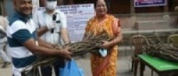 मध्यपुरथिमिमा निःशुल्क गुर्जोको बिरुवा र धूलो वितरण