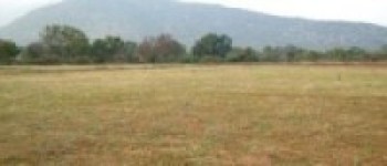 किर्ते कागज बनाएर अर्काको जग्गा बिक्री   