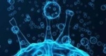 गण्डकीमा थप १६ जनामा कोरोना