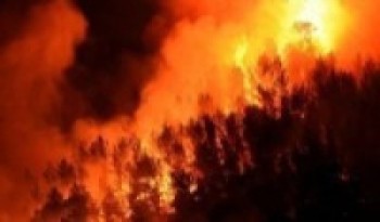 हुम्लाको चेला सामुदायिक वनमा भीषण आगलागी   